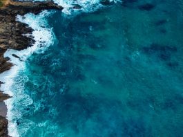 Ocean centres to create multistakeholder platform for ocean safety, sustainability