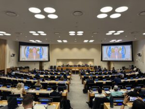 FAO Director-General QU Dongyu address a special event on food price inflation at the UN’s headquarters in New York.©FAO