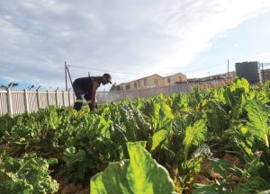CJIFA Community Empowerment Grant Program in Africa 2025 