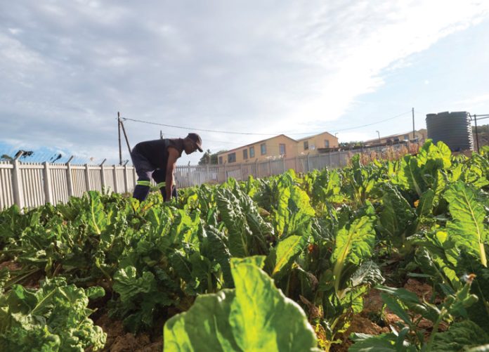 CJIFA Community Empowerment Grant Program in Africa 2025