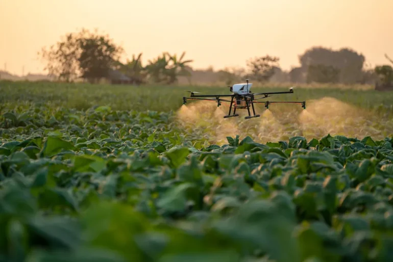 Investing for a climate-resilient future in Africa