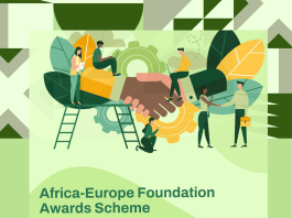Africa-Europe Foundation Youth Awards