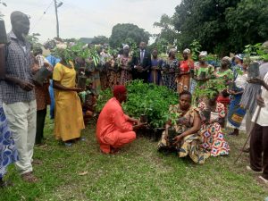 Ceremonial planting of baobab
