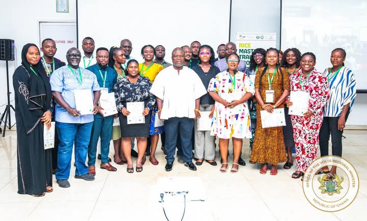 AfricaRice, GIZ, ECOWAS build capacity of rice agripreneurs