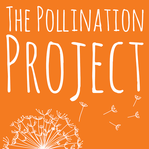 The Pollination Project Daily Grant Program