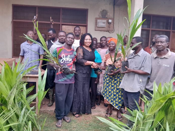 ksi Politics Seedlings Distribution 1