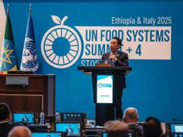 FAO Director-General Qu Dongyu delivers his remarks during the opening session of the UN Food Systems Summit +4. ©FAO