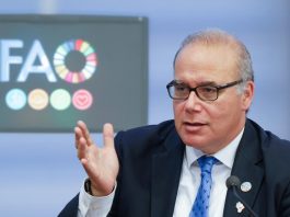 Máximo Torero, FAO Chief Economist ©FAO