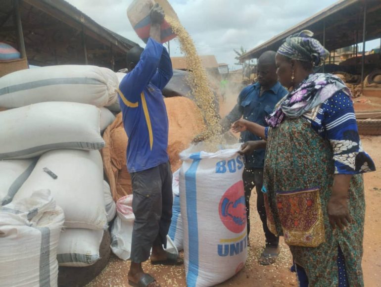 Maize prices drop sharply at Techiman Central Market