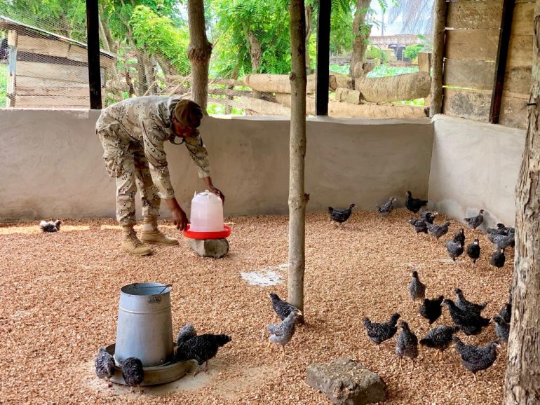Sunyani Central Prisons ventures into fish and poultry farming