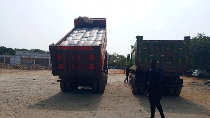 Social Cocoa Smuggling 1