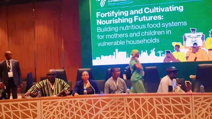 Youth-Led Agriculture Can Transform Africa’s Food Systems – Hotordze