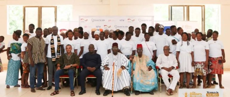 Women in apiculture project launched in Upper East   