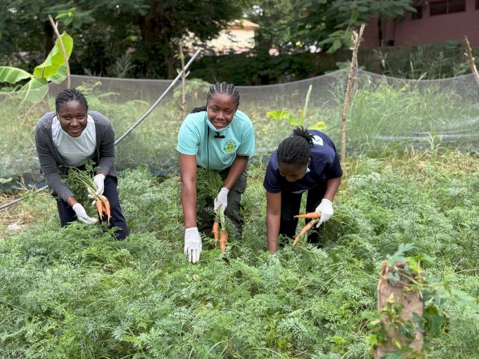 KIC advocates for gender inclusion and sustainable food systems