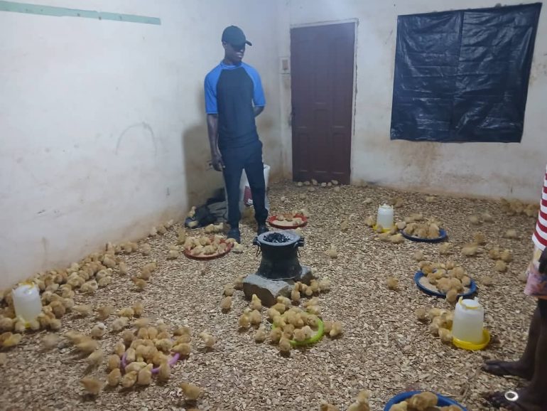 AAMUSTED, KIC begin poultry input distribution for young farmers