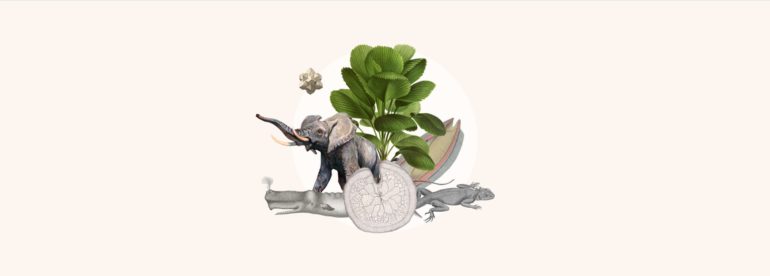 Biodiversity Information for Development (BID) programme.