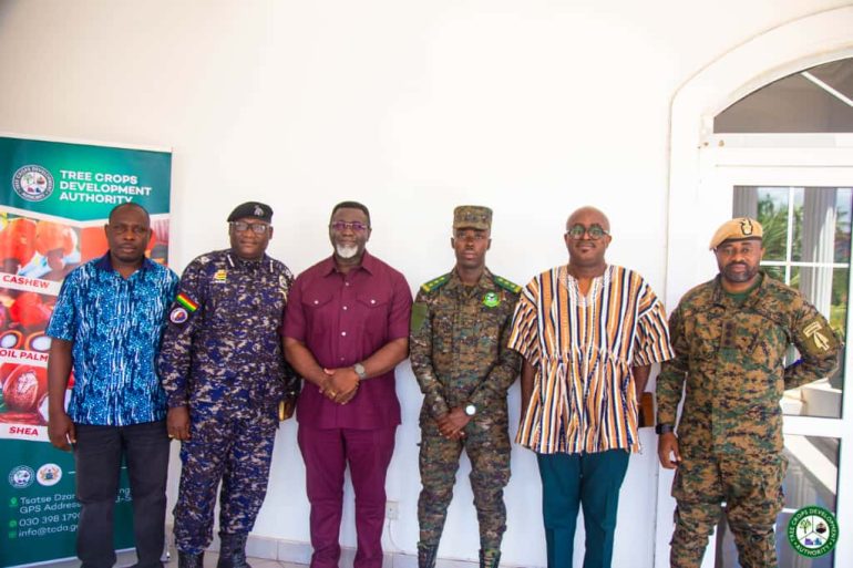 Ghana to crack down on illegal cooking oil trade with joint taskforce