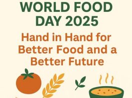 World Food Day: Food vendors urged to prioritise proper food packaging, safety  