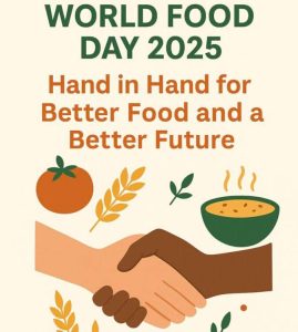 World Food Day: Food vendors urged to prioritise proper food packaging, safety  