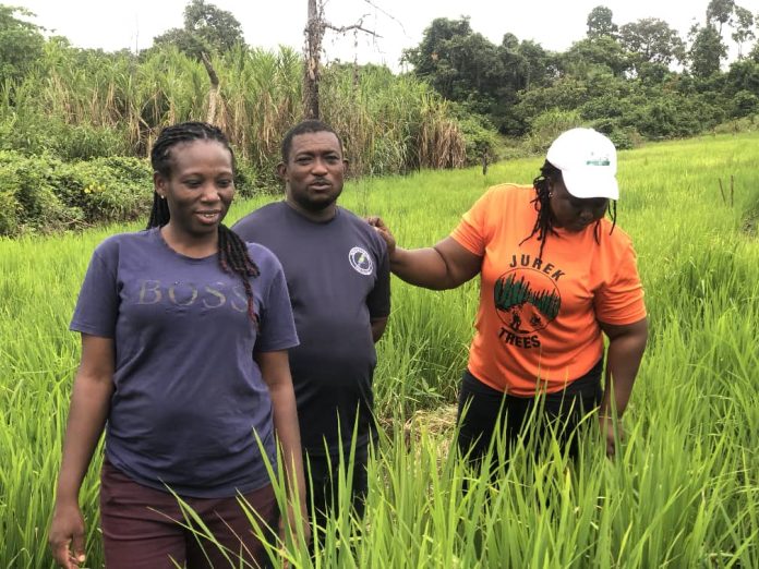 Science Farmers Programmme