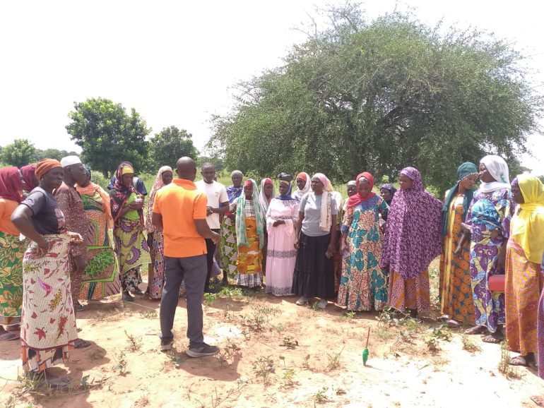 SWFA, FAO promote sustainable agriculture for women farmers in Northern Ghana