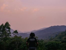 SDG Agrifood Accelerator Programme: Gorilla Conservation Coffee