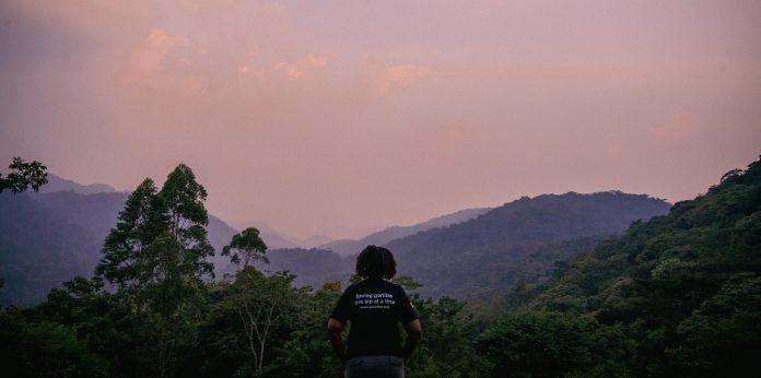SDG Agrifood Accelerator Programme: Gorilla Conservation Coffee SDG Agrifood Accelerator Programme: Gorilla Conservation Coffee