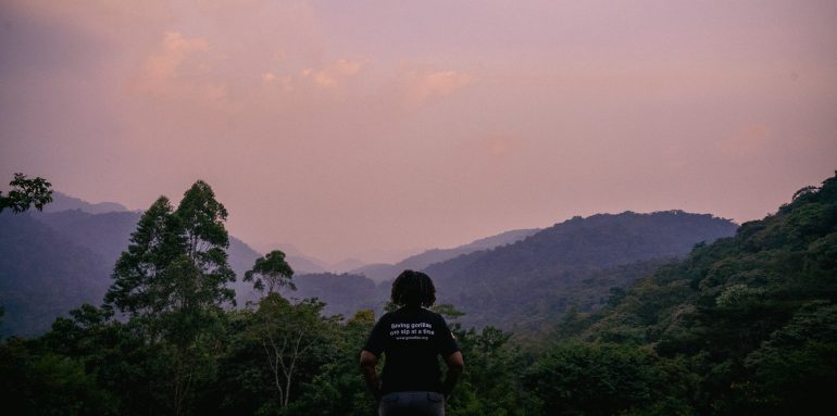 SDG Agrifood Accelerator Programme: Gorilla Conservation Coffee