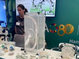 SIF 2025 features thematic dialogues, regional events, exhibitions, hackathons, and innovation pitches showcasing breakthrough research, digital public goods, farmer-led initiatives and new models of collaboration. ©FAO