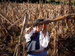 Secrets of the Andean chakras: the climate action of Indigenous Women in the Ecuadorian Andes