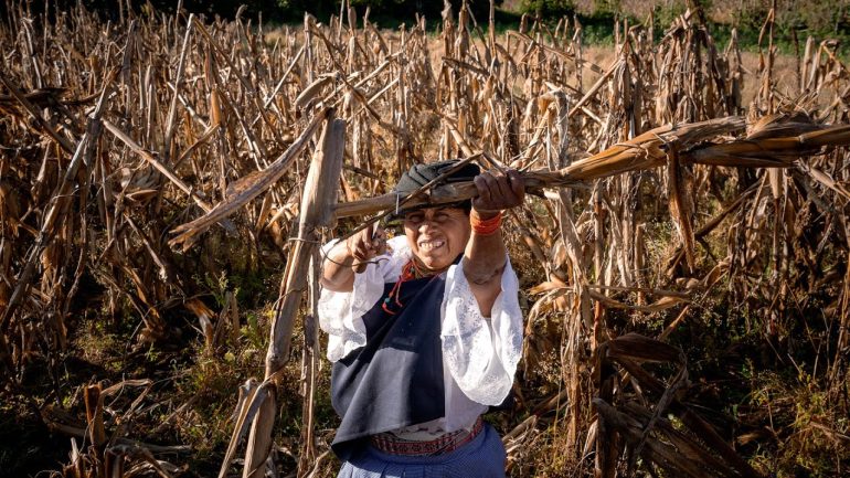 Secrets of the Andean chakras: the climate action of Indigenous Women in the Ecuadorian Andes