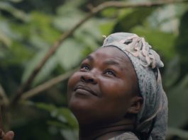 The Chocolate Island: Growing sustainable cocoa in Sao Tome
