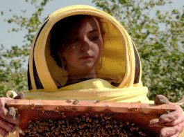 Buzzing with Purpose: Beekeeping for a New Generation in Türkiye