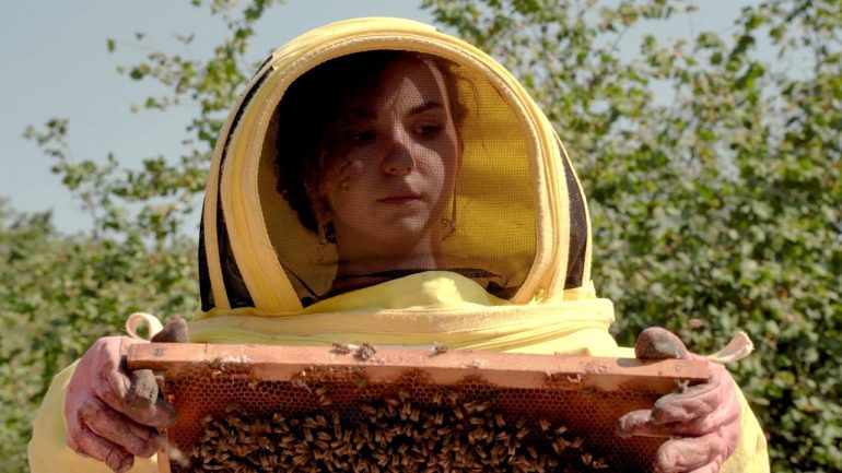 Buzzing with Purpose: Beekeeping for a New Generation in Türkiye
