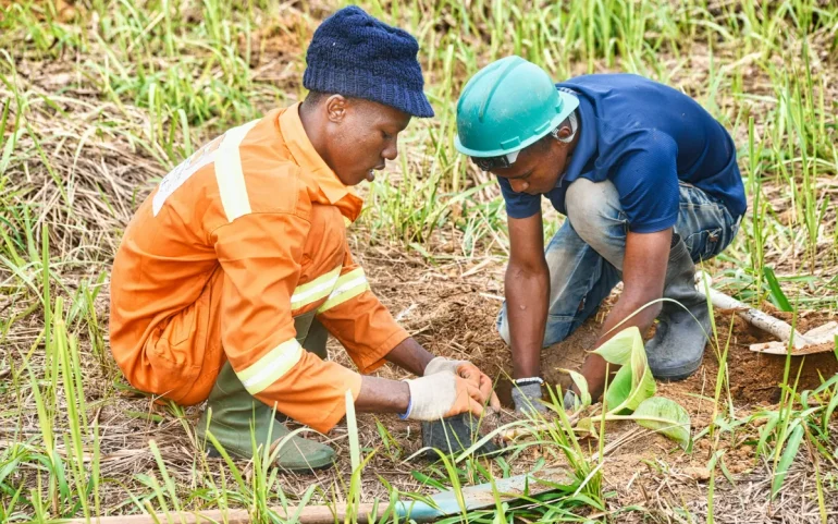King’s Commonwealth Fellowship Programme Climate Resilience Fellowships (Fully funded)