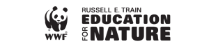 Current And Aspiring University Faculty Fellowships 