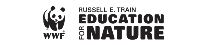 Current And Aspiring University Faculty Fellowships