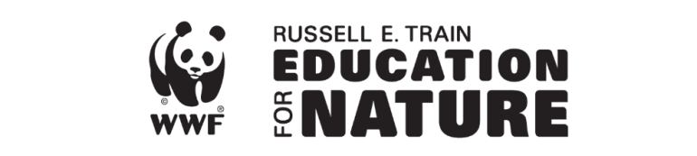 Current And Aspiring University Faculty Fellowships