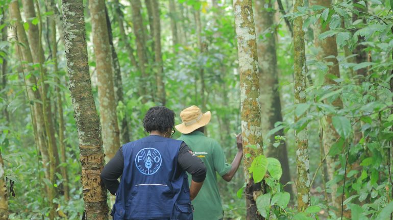 Assessing conservation efforts in Lazarus Forest, Uganda. ©@FAO/Agatha Ayebazibwe
