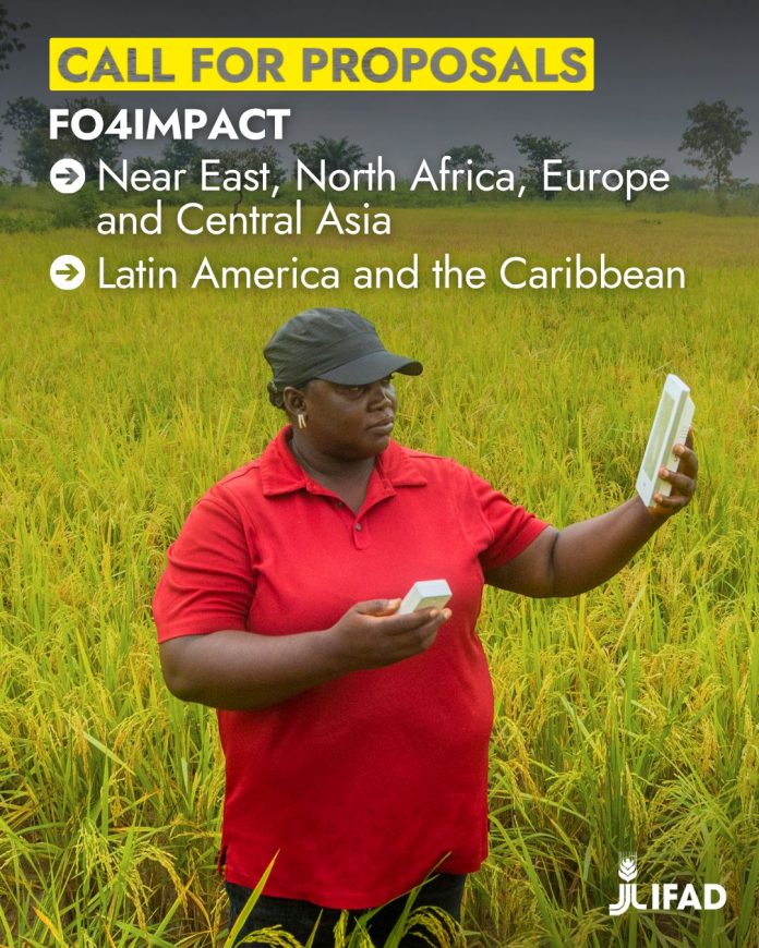 https://www.ifad.org/en/w/calls-for-proposal/call-for-proposals-fo4impact-latin-american-and-the-caribbean- https://www.ifad.org/en/w/calls-for-proposal/call-for-proposals-fo4impact-latin-american-and-the-caribbean-