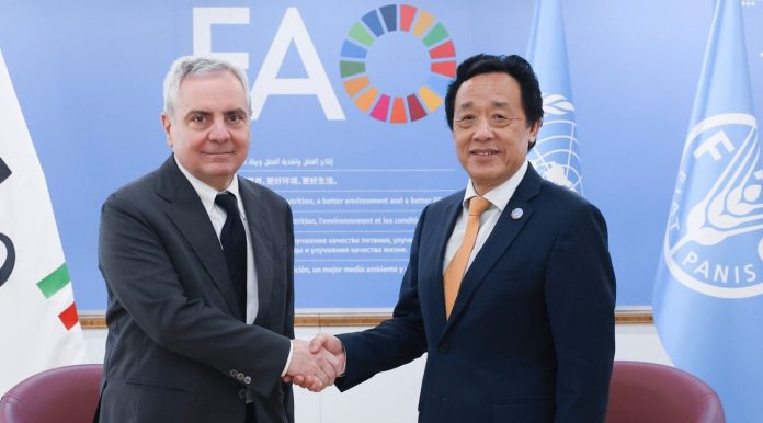 FAO Director-General QU Dongyu meets Cassa Depositi e Prestiti CEO Dario Scannapieco. FAO Headquarters (Iraq Room). ©FAO/Alessandra Benedetti
