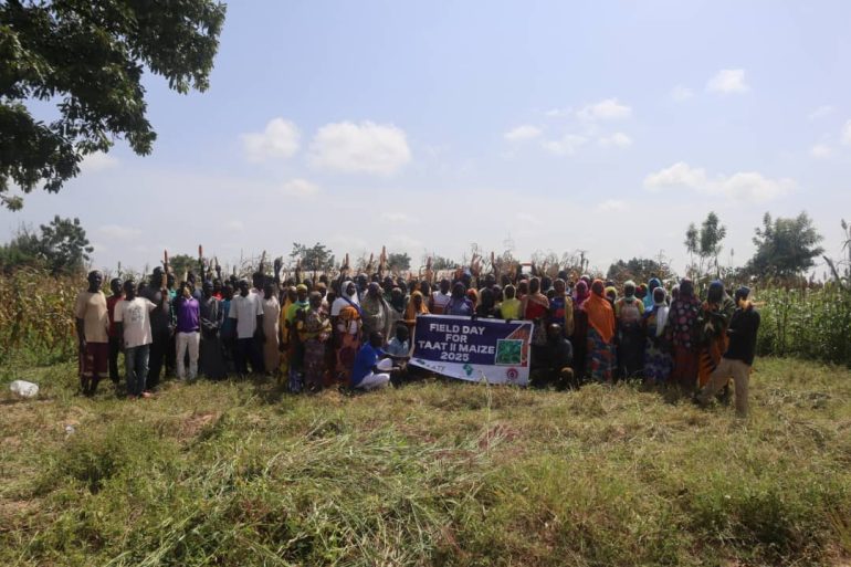 CSIR–SARI, MoFA unveil improved maize varieties for smallholder farmers
