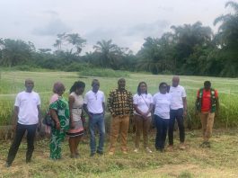 MoFA, UNIDO inspect Bekwai rice processors under Japan-Funded ITEQ Project