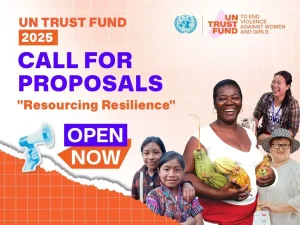 UN Trust Fund to End Violence against Women and Girls (UN Trust Fund) - (up to US $800,000.)