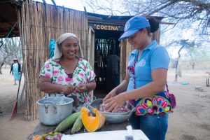 The report closes critical knowledge gaps on how agrifood systems are addressed in climate strategies, examining risks, priority actions, financing needs, implementation barriers, monitoring, gender equality, and loss and damage.©FAO/Felipe Rodriguez
