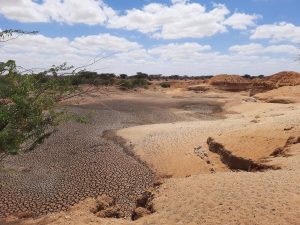 SOFA 2025 provides the most comprehensive analysis to date of how human-driven land degradation impacts crop yields, identifies global vulnerability hotspots, and examines where these losses intersect with poverty, hunger and other forms of malnutrition.©FAO/Lorenzo Moncada