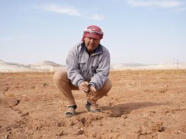 A farmer examines his dry land , hoping to plant winter crops that could provide income for his family in Salameya, the Syrian Arab Republic. ©FAO/Bayan Ksiebi