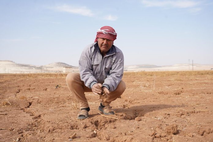 A farmer examines his dry land , hoping to plant winter crops that could provide income for his family in Salameya, the Syrian Arab Republic. ©FAO/Bayan Ksiebi