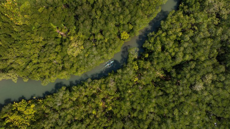 The additional support follows AIM4Forests’ A+ performance rating in both 2023 and 2024 independent annual reviews, reflecting the impact and effectiveness in helping countries monitor, protect and restore forests and ecosystems, as well as measuring and reporting emissions reductions. ©FAO/Noel Guevara