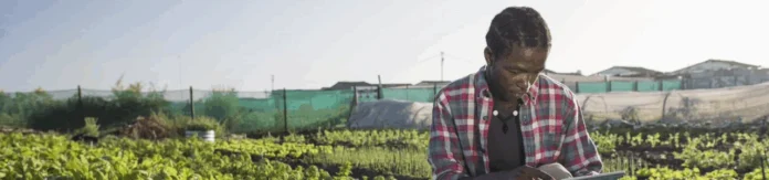 Goodwell Investments – African Entrepreneurs